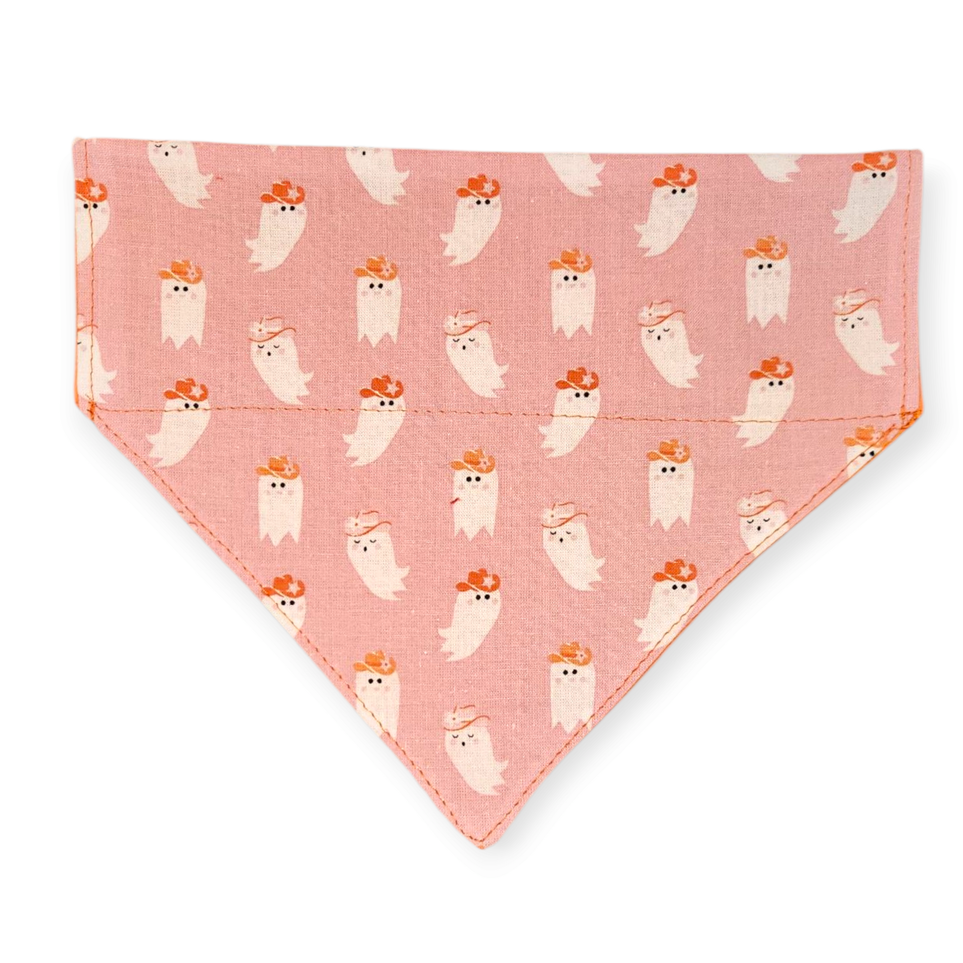 Cowboy Ghost Pet Slip Bandana