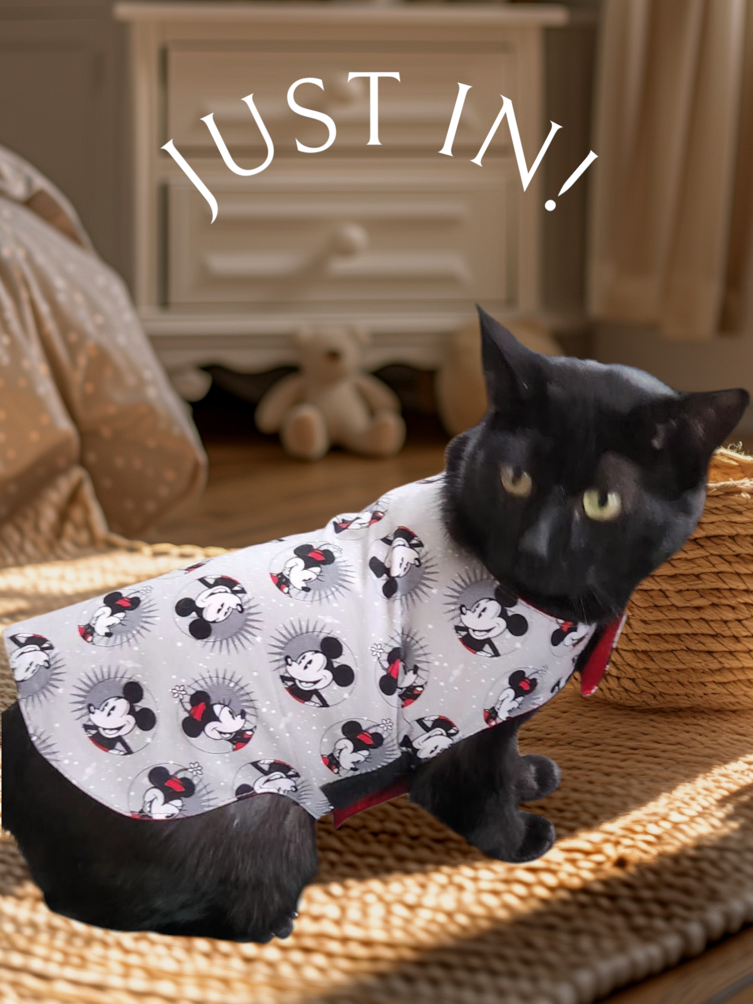 Pet Outfit