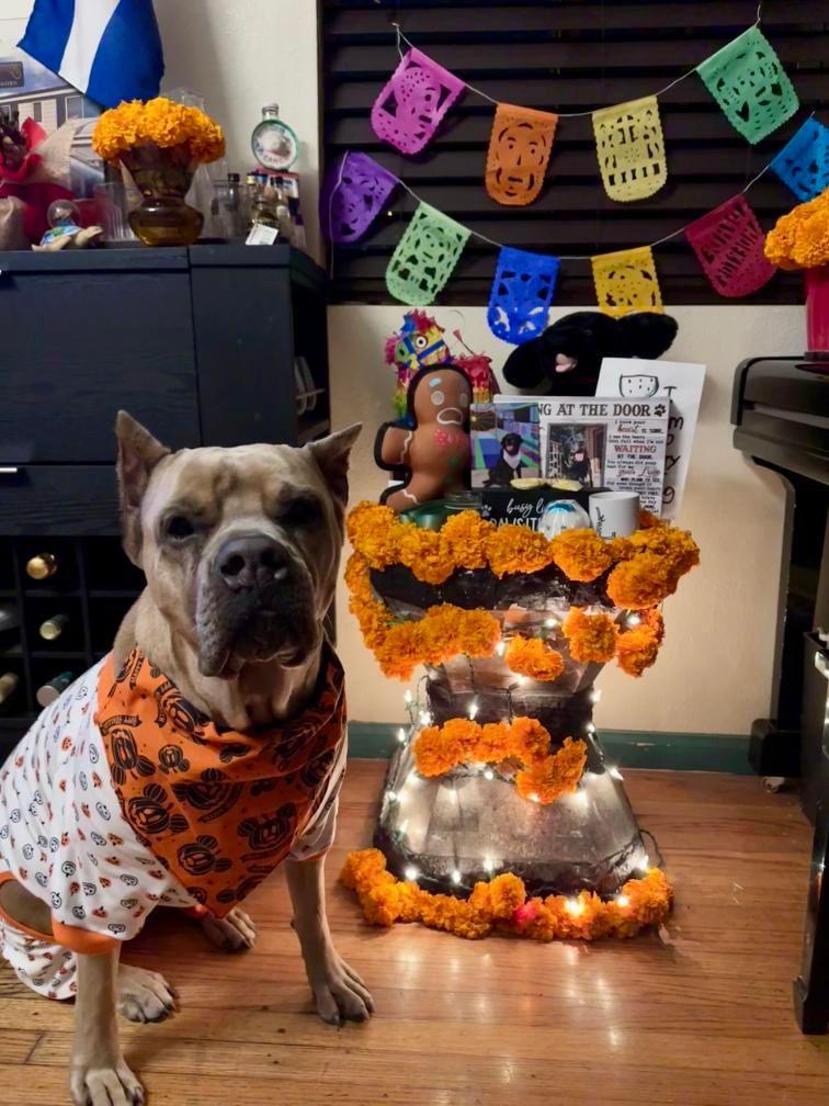 Pumpkin Mickey Slip Bandana