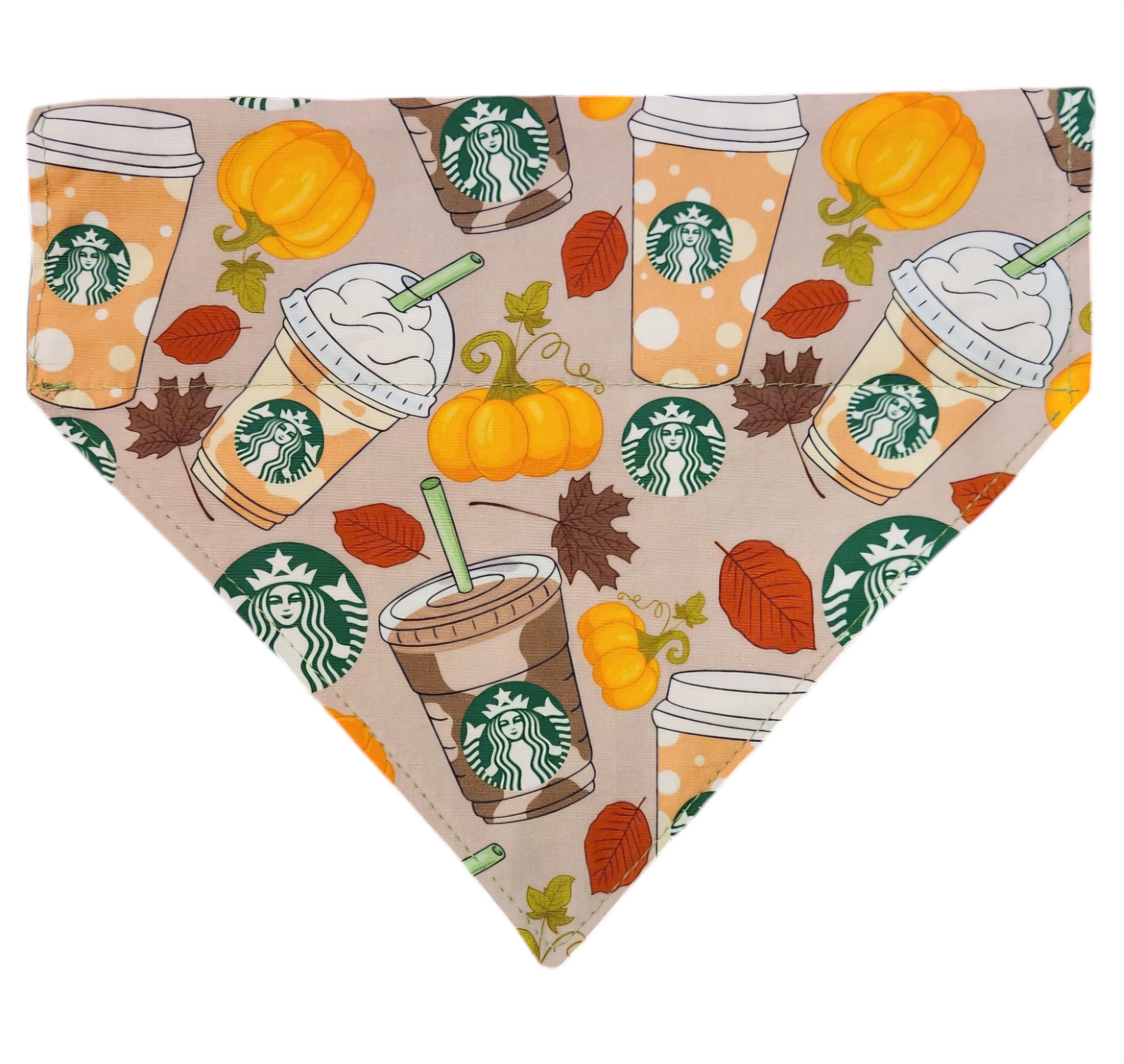 Pumpkin Spice Slip Pet Bandana