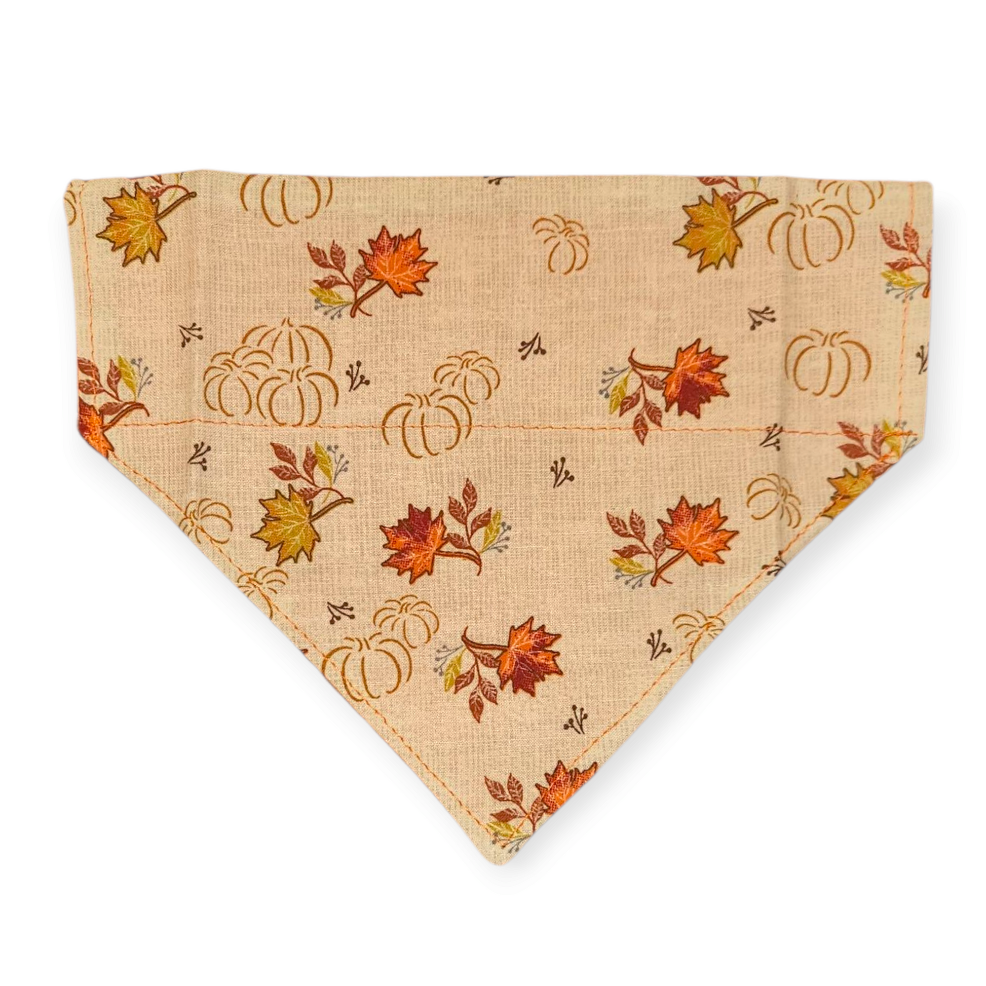 Fall Leaves Pet Slip Bandana