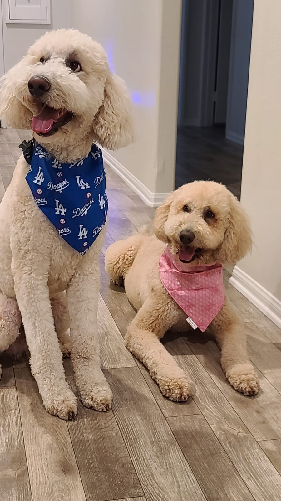 Dodgers Pink Slip Pet Bandana