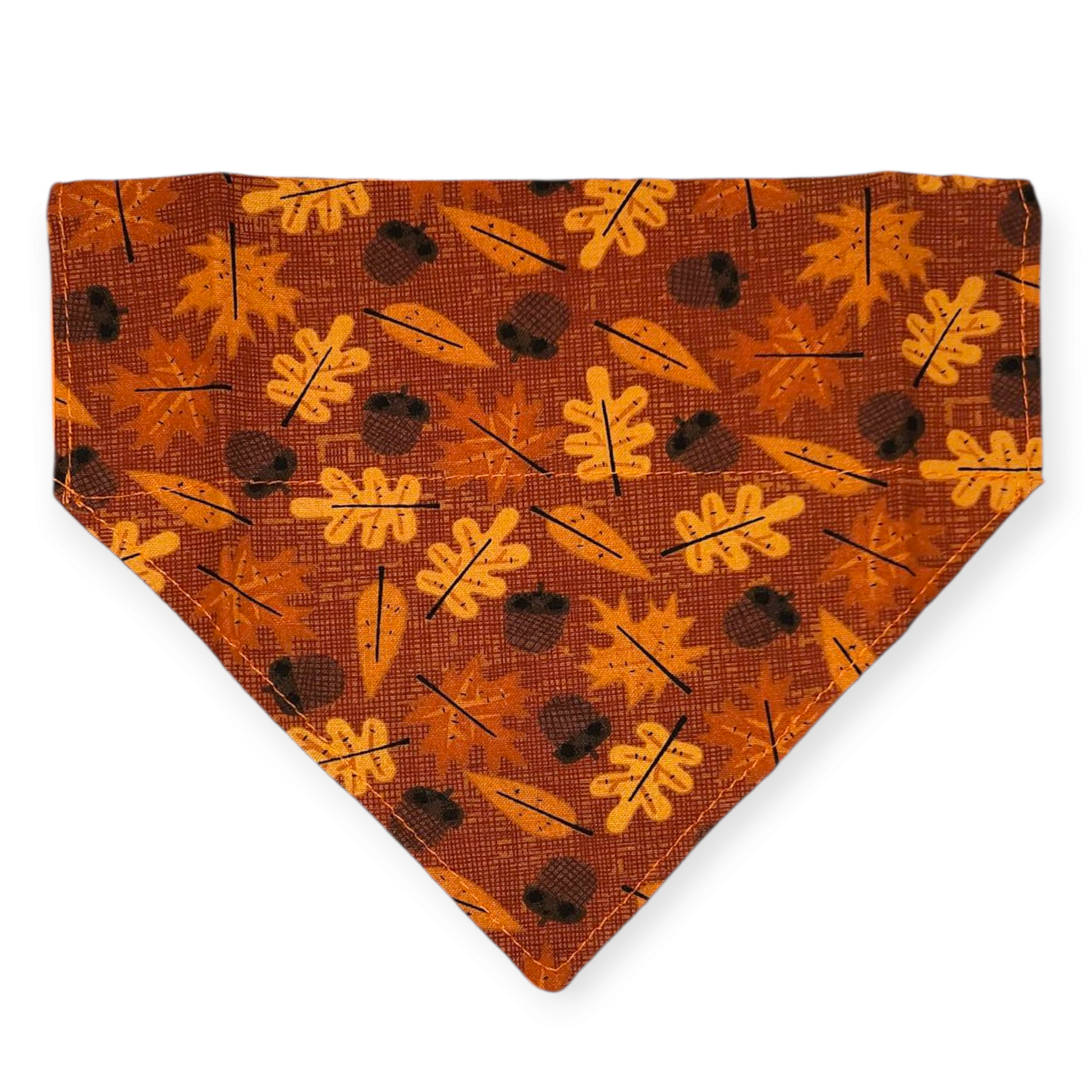 Acorn Fall Pet Slip Bandana