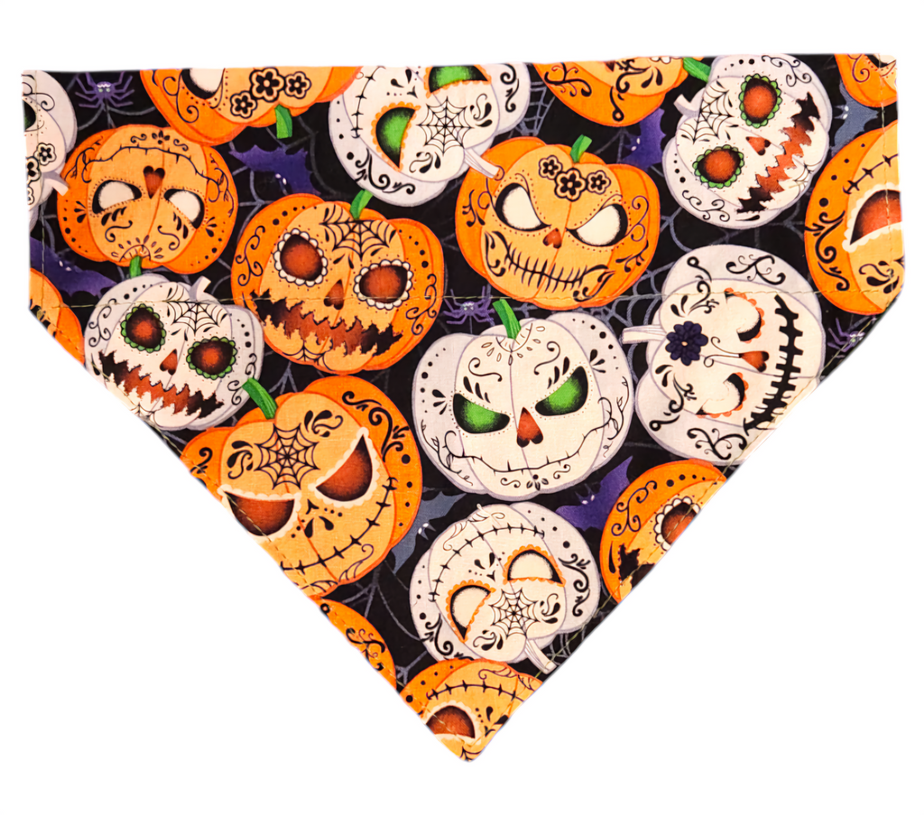 Untitled Jun17_15:21