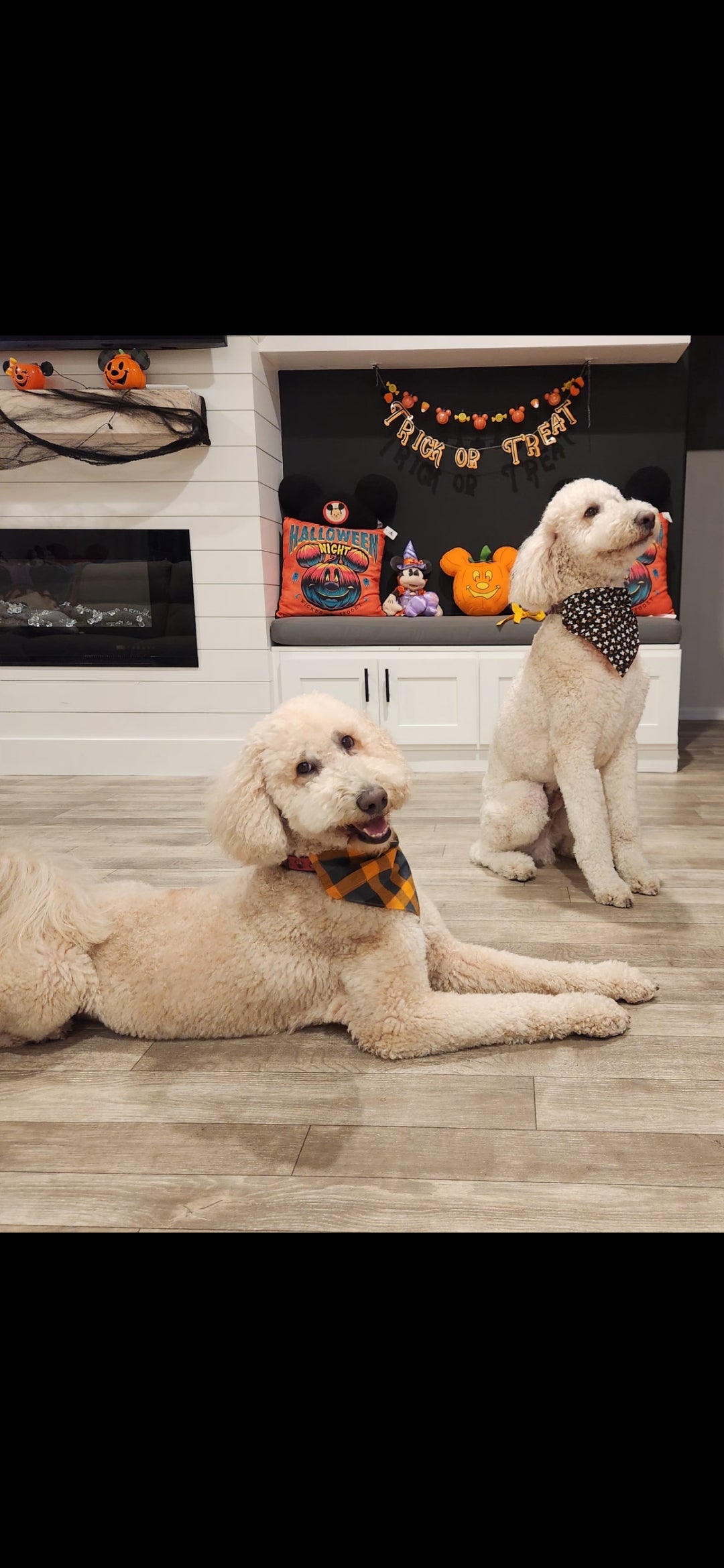 Fall Plaid Slip Pet Bandana