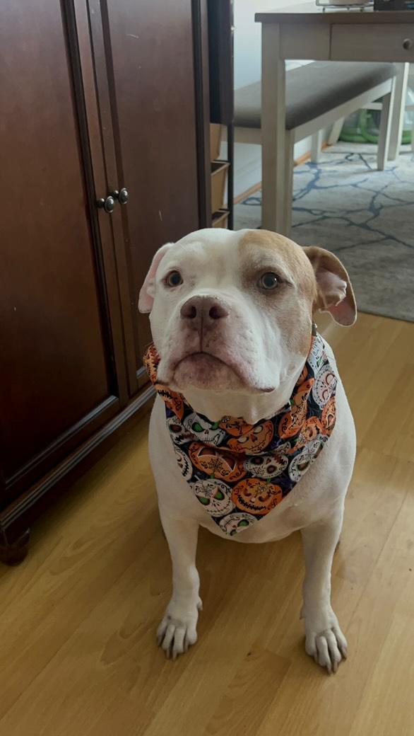 Untitled Jun17_15:21