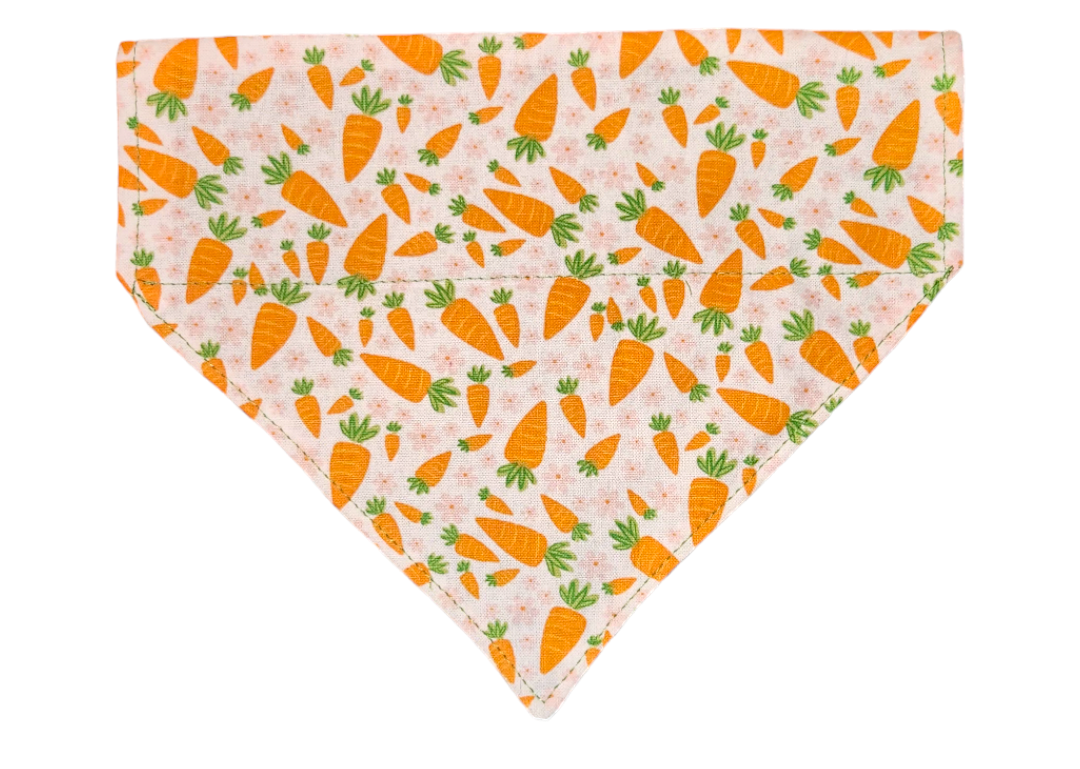 Carrots Slip Pet Bandana