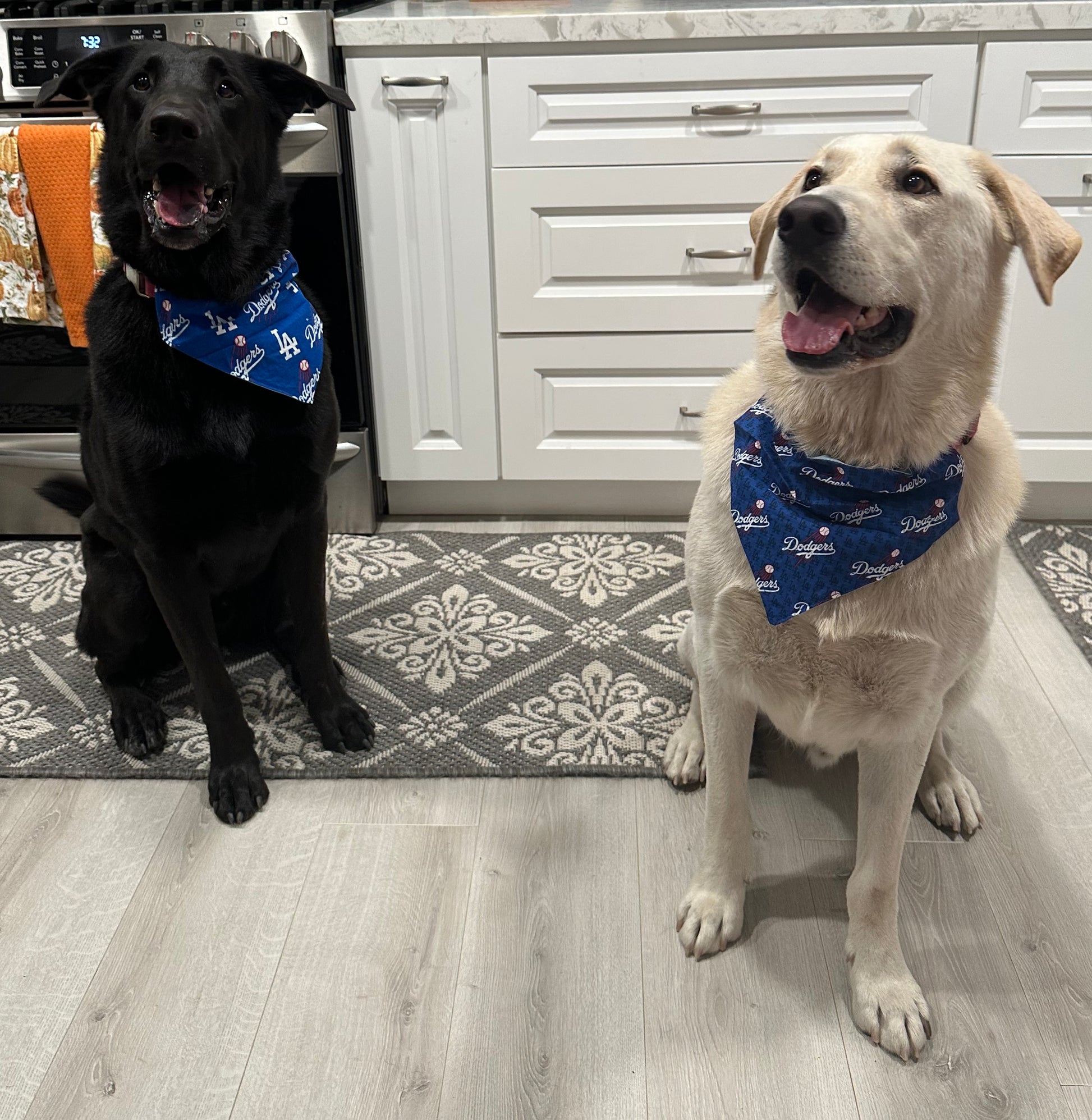 Dodger Baseball Slip Pet Bandana