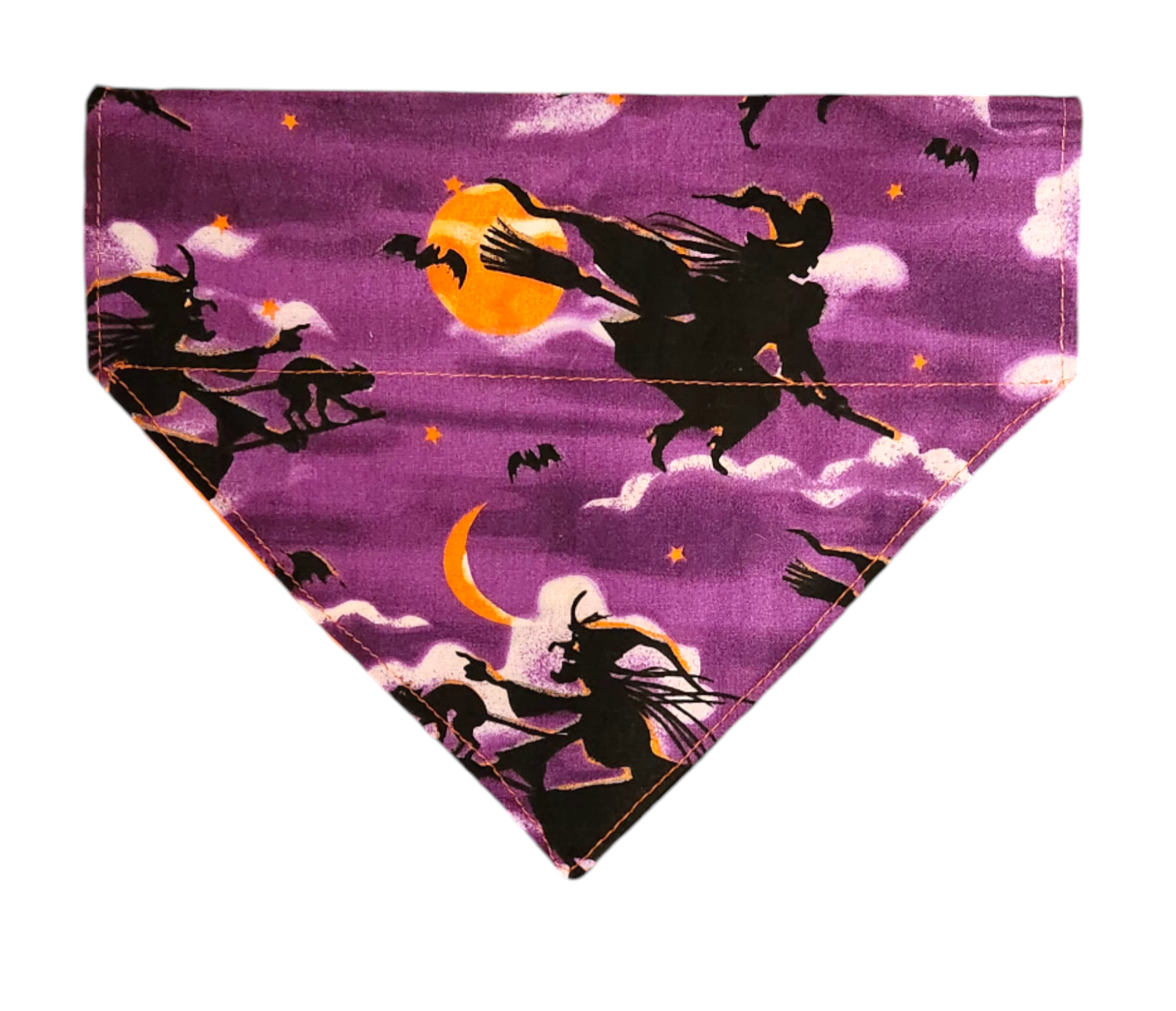 Witch Slip Pet Bandana